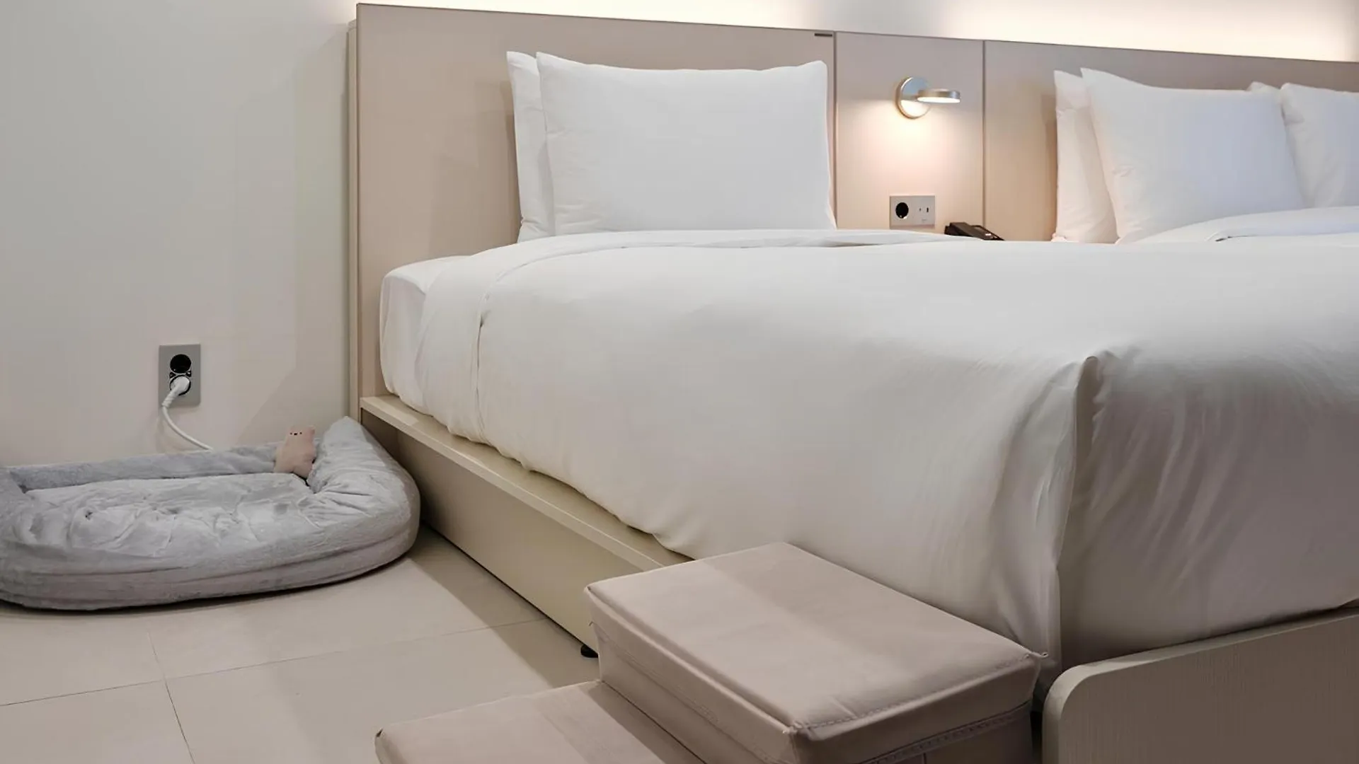 Hotel The Botanik Sewoon Myeongdong 首爾 4*,  韩国