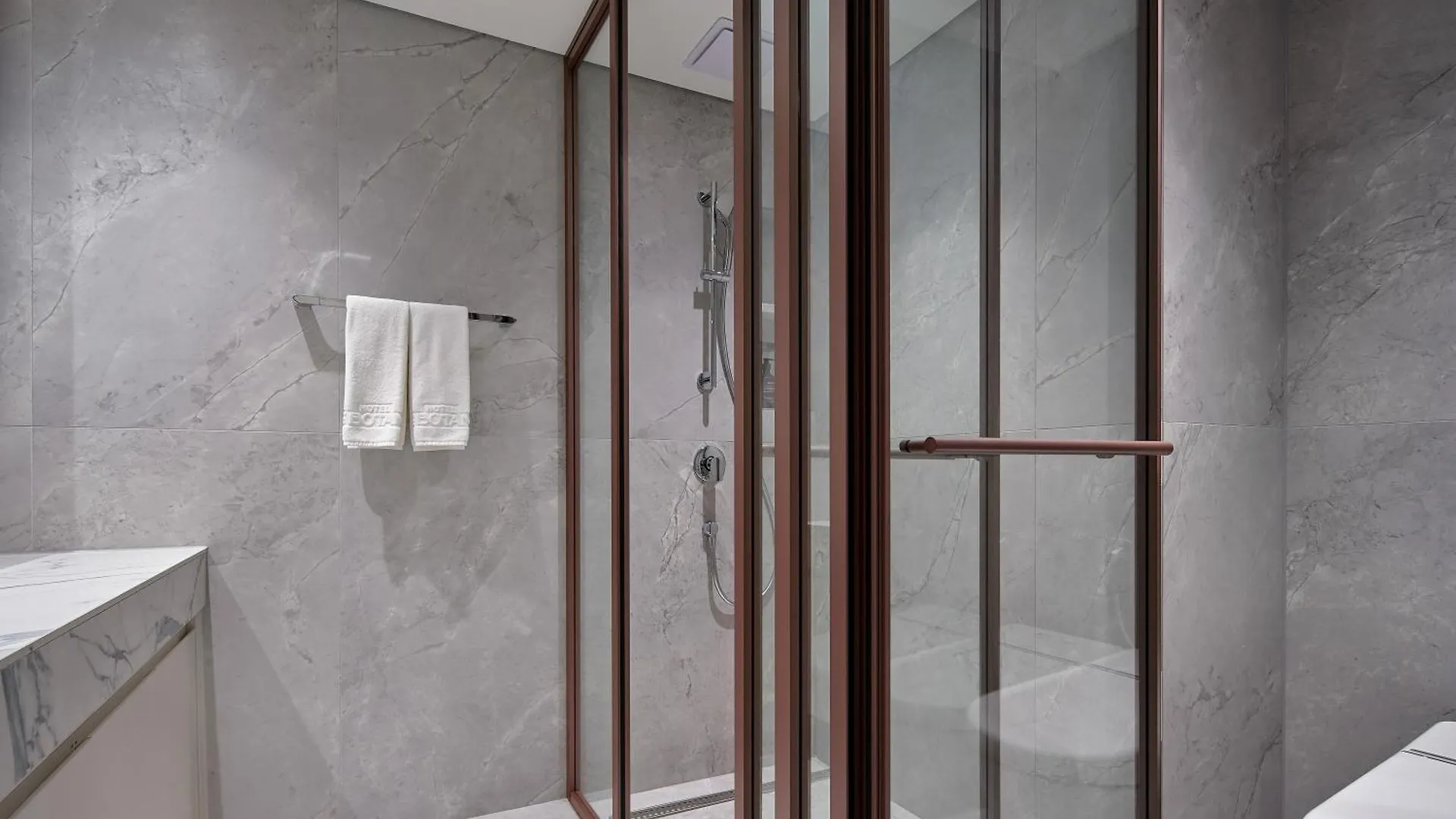 Hotel The Botanik Sewoon Myeongdong Seoul